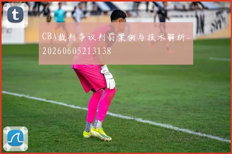 CBA裁判争议判罚案例与技术解析_20260605213138